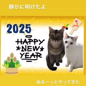 明日は♪(๑ᴖ◡ᴖ๑)♪の画像