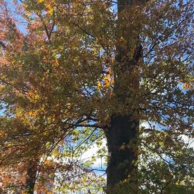 自分にとって大切なことの画像