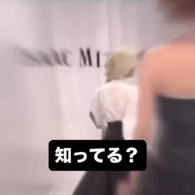 理想の大人Ⅱの画像