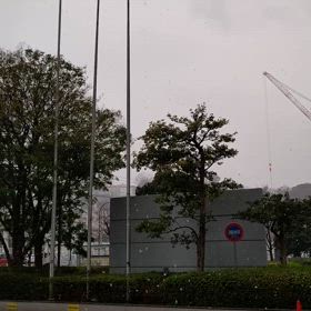 2024/02/05の画像