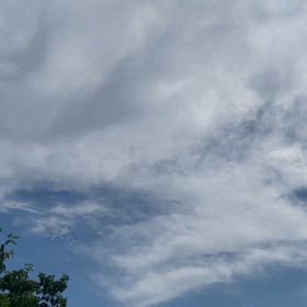 次回作も面白そうな花組の画像