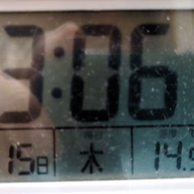 1/15 FM Bettyの画像