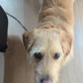 むぎの小屋での画像