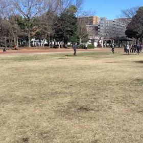 3/10 リレー特別練習⑤の画像