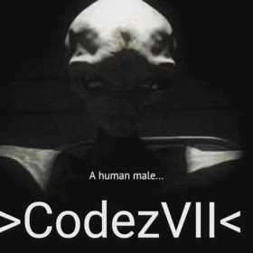 CodezVII/6915の画像