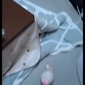 惜しーい！！！の画像