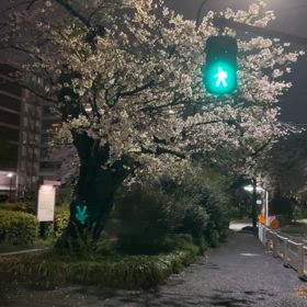 運の良さに気がつくと、人生は劇的に変わる気がするの画像
