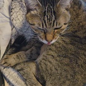 お手入れは、念入り？の画像