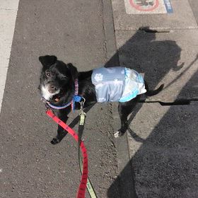 暖かいね、リンツ君の画像