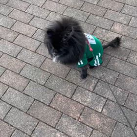 2025年2月22日　散歩の画像