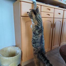 ５月３１日（土）の画像