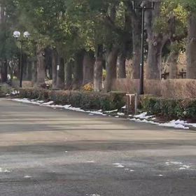 リレー選考会（男子）ゴール付近③の画像