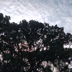 北風ﾋﾟｰﾌﾟｰの画像