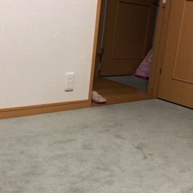 にゃんずルーティン。血圧の薬の副作用。ジム休館日は…の画像