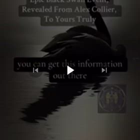 契約最終日　HauteFrequenceMondial/86375の画像