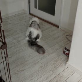 あ！？の画像