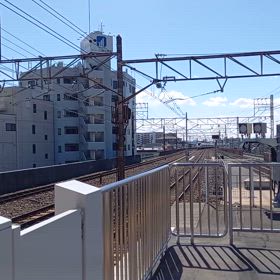2024/03/21の画像
