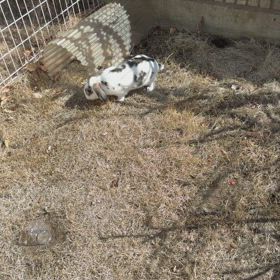 透析放置と除水計算間違いの画像