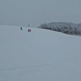 まだスキー動画がありましたの画像