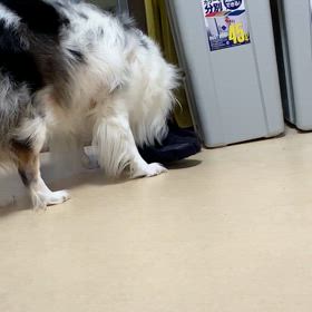 どうしても一生懸命にするもの画像