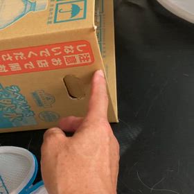 ネコ釣りの画像