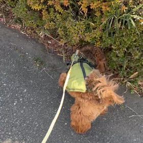 演説会場にの画像