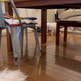 おもしろいなぁの画像