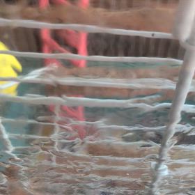 梯子落としの画像