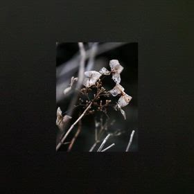 時代の歌に、感謝して、、♡   2024年36本の画像