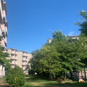 よしよし！の画像