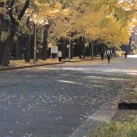 11/22 1500m④の画像