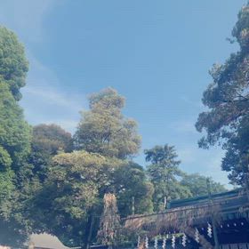 出雲の神様◯悪縁切り◯悪霊の画像