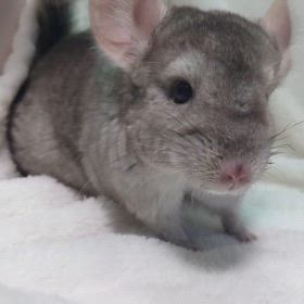 ご予約頂きました！の画像