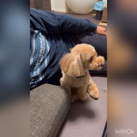 甘え上手なメイちゃん♡ 〜その①〜の画像