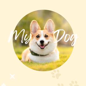 Kin182のエネルギーの画像