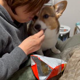 なんやらぎっくり腰になりましての画像