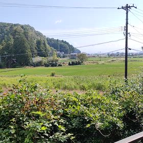 10月29日　もやっとした晴天の画像