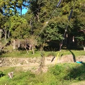 二番札所の観音様　ツイテル修行　秩父34観音巡り3　の画像