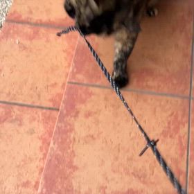 かわいいストーカーの画像