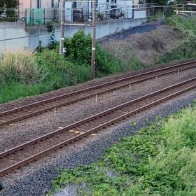 今日の657の画像