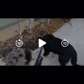 懐かしい！の画像