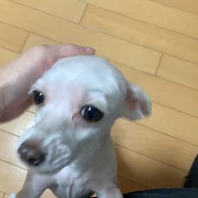 負を寄せ付けない！いつもHappyでいるためにの画像