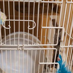 介護認定調査の画像