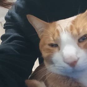 めっちゃ吐血したの画像