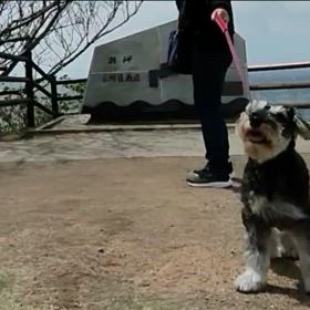 きょうのわんこ：ローアングルは難しいなあ～の画像