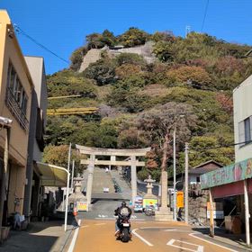 ※　静岡県で癒され〜　3の画像
