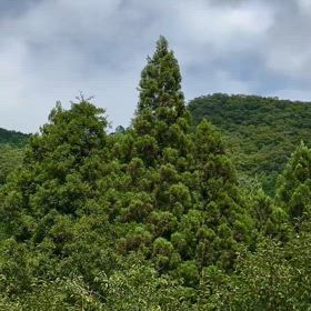 美しい風景の画像