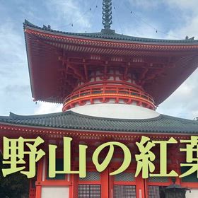 高野山の紅葉の画像