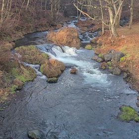 2/22本日の勝負してみようかなレースの画像