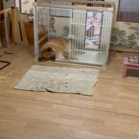 寝方の癖の画像